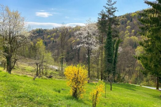 54ecAeylz1X3G2APrMRKPf