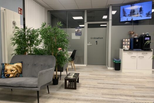 57bIh8rkCi7m0gA5JHKMSQ