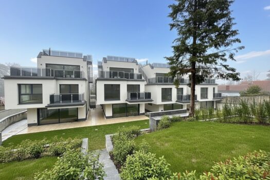 5BMq1GaYhm5zpGzIyUjyWE 12