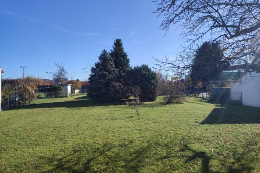 5BiB7NLZhqpn2NEsKsdOmM