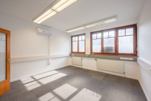 5UFiCnGuDW0uluPcbwe5oR