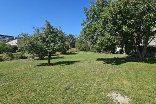 Grundstück - NESTOR Immobilien