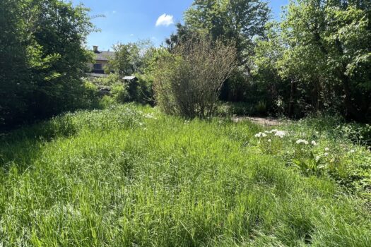 5YEcgIs9YT2HK72P1J4EZd