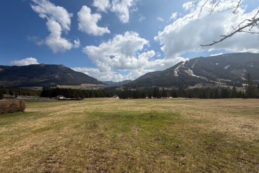 5fcoaOzLDYjTvvAL7DclXZ