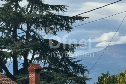 5gFa2jyZGybexiMvaaEmSU