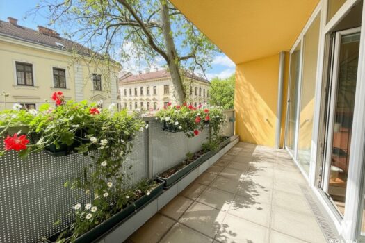 5jTdadzRw6Ze9cYRApUPoJ