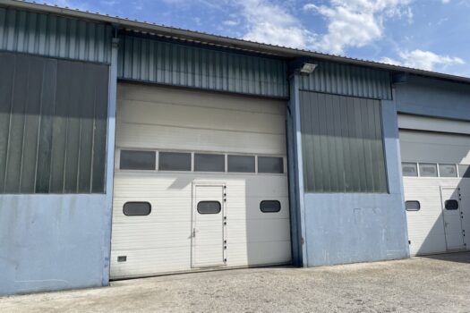 5lFyqQBGyn4qSpDRKoszll