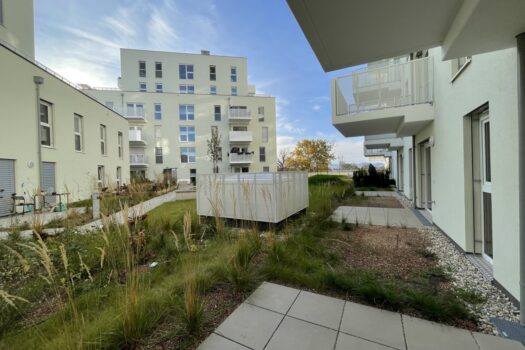 5qcwVSJbQoxMrxWB9WxpC3