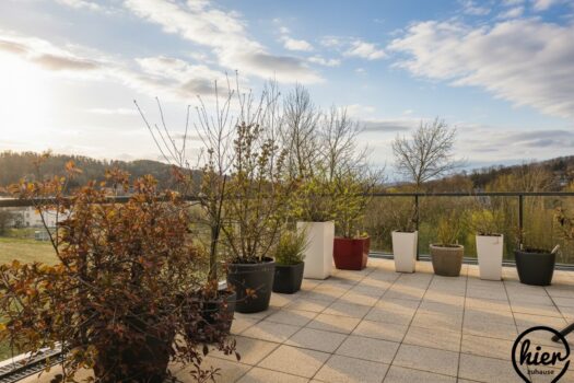 5r9WF4O6ulCJvzdhKjK9Qh 1