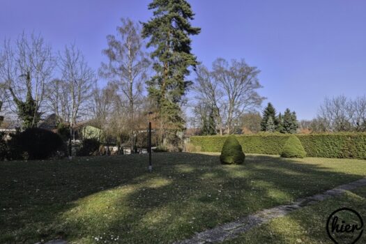 5rjlL1QIC0aVXyjksnb2x5