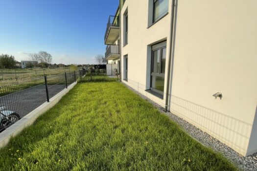 5saE7PuvDoNKisFBL4qMHj