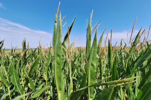 5yySMStXRonZTbfg40tEFC