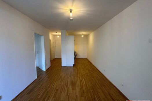 5zVmpsnhsRfhjcI3b8pmjc