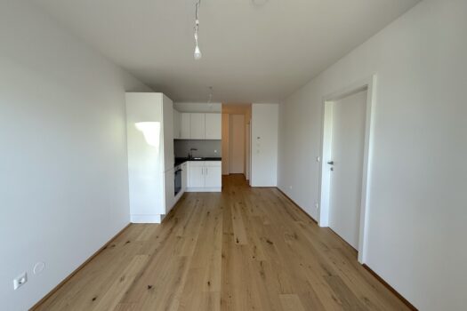 636cjwYRN1B2CQz6V9jkVm