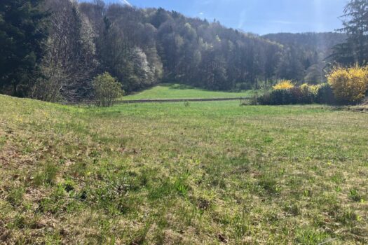 64NGTzsryulwjpuDhHyoHG