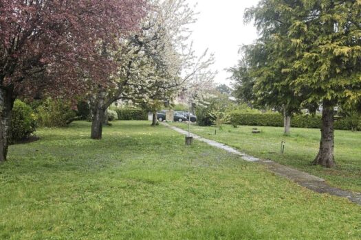 Großer parkähnlicher Grund