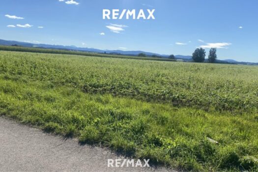 68KIibLLzvaQJmPbPti5vv