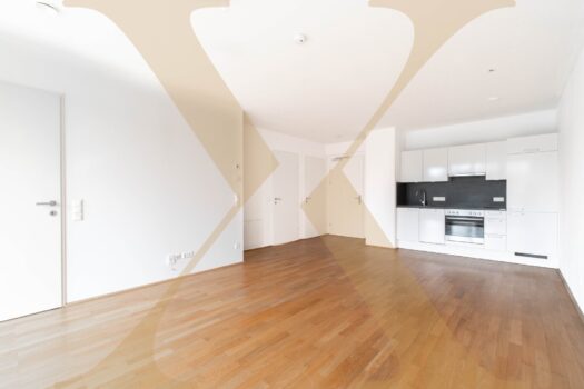 Wohn-, Ess- und Kochbereich