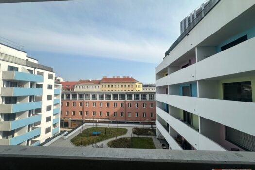 6Enlx093DlWIucraJV2aQL