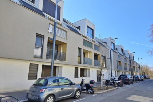 6GiMkYgefU1Laajk8NEOGq