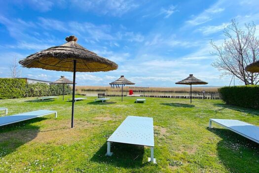 6Gs7ORmEnLl3gCQRni6n82 1