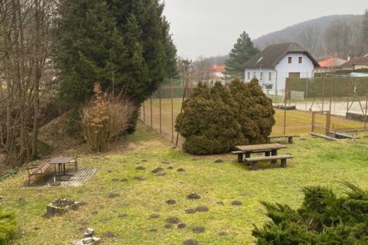 6LzwG3uUSgDc5dJt56qmIl