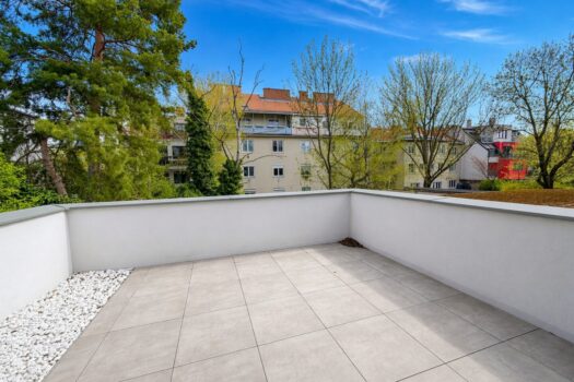 6MM2QDOwDncYZo2PMyG4Wd 1