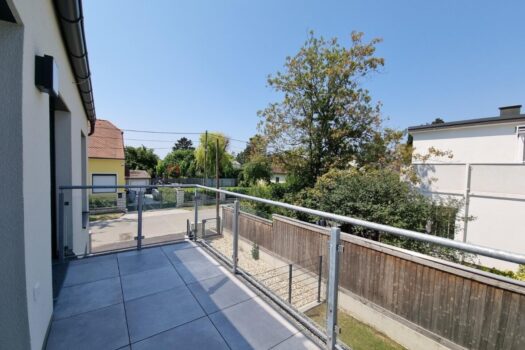 6MhvtQWwwlDVou5rYSp8gm