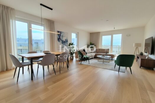 Visualisierung_Einrichtung