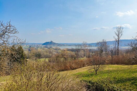 6PadYOzv8WH5rYn6LMuoL9