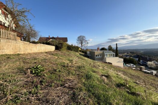 6PdyjAlBkUhqkXGT8juxPC