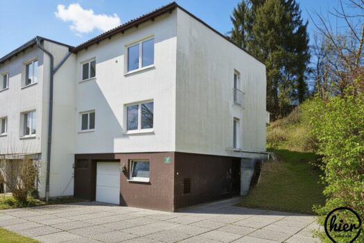 6ShVma4DrVEEQl2NPTWDmq