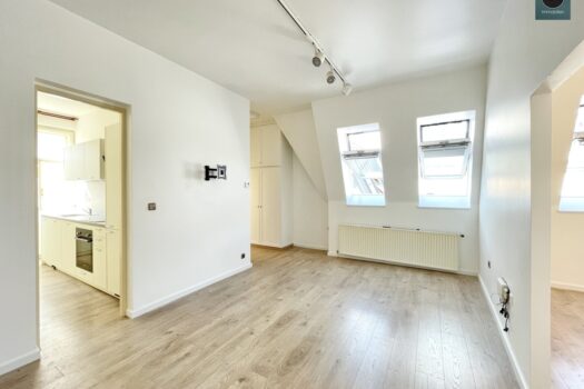 6Suf7Hla3x8MFJoG0SE1nc