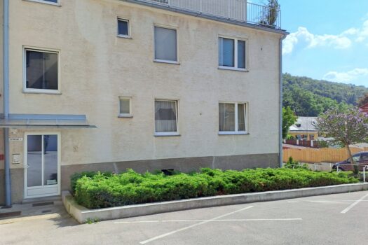 6TCiKU3LN09OD5IbfWLsXY