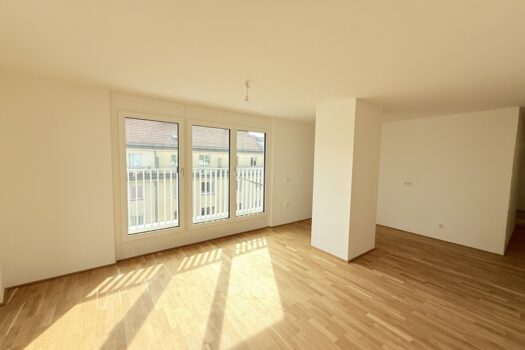 6VLueu0z1u6zdfQkMCRfZe