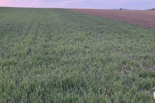 6cBYsDlVwZqaLpS0IVh7qI