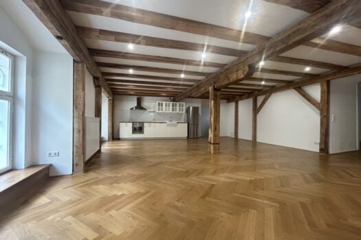Loft/Wohnküche