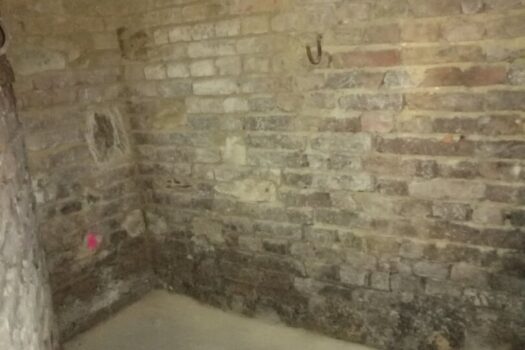 6e7w7et15HqlOrpWnF7fUd