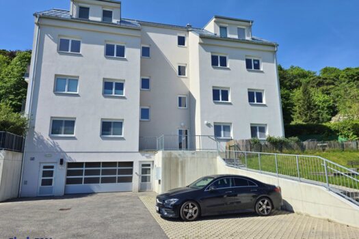 6gOws9TmbKYm2DWlaMHLHc