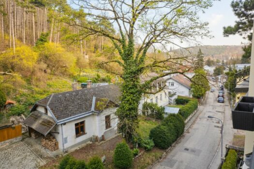 6mNXjQ9EJd58c4UpGZR5pf