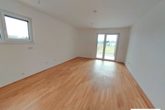 6x6XPcWaq0e6R5EcE8XP9t