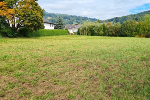 6zxLxdWfMuCrXGI20jQkMp