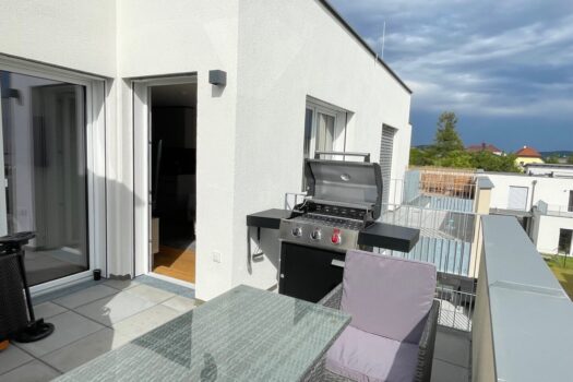 74cBYRdwlaT2AyPNhSbLJx