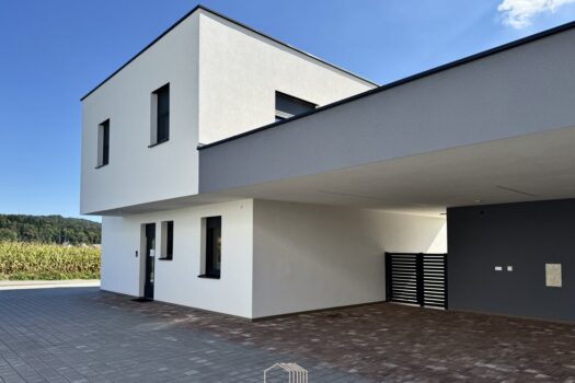 78bC5Ug81j65E5sT0pDCX5