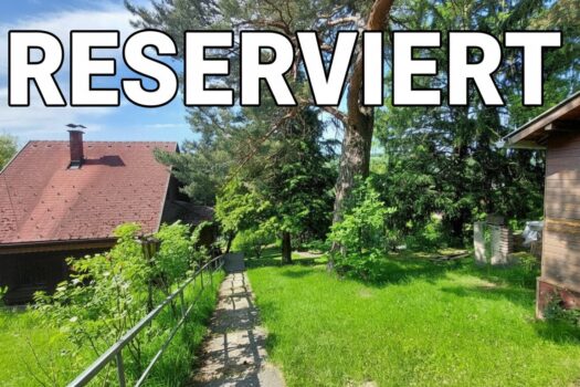 7FUg3xuBFJzHLWoI00ahFL