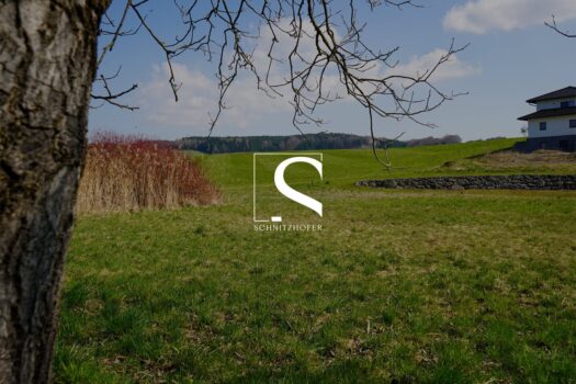 7LNdrvuuUWJEbHecuQs9ZY