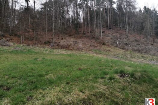 7e656WvvAQYeGbrleXfaUd