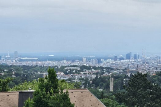 Wohnung - NESTOR Immobilien