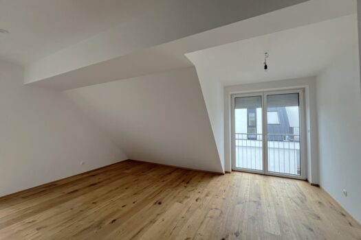 7k9gcdDv0jK01dG1JLaNnG