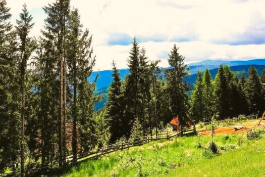 7l4Rl7f8wSjwEJY1wUdebn